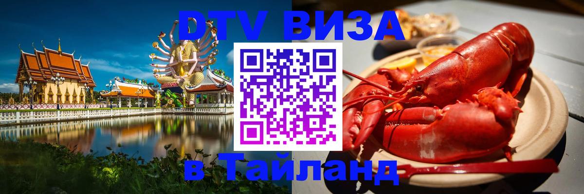 Оформление DTV визы под ключ: стоимость и тарифы, только загранпаспорт - Бердск 